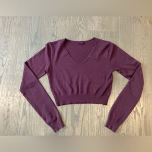 Brandy Melville John Galt Cropped V-neck Sweater
